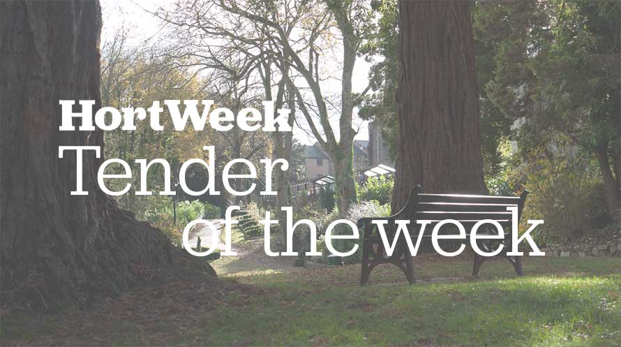 Tender of the week